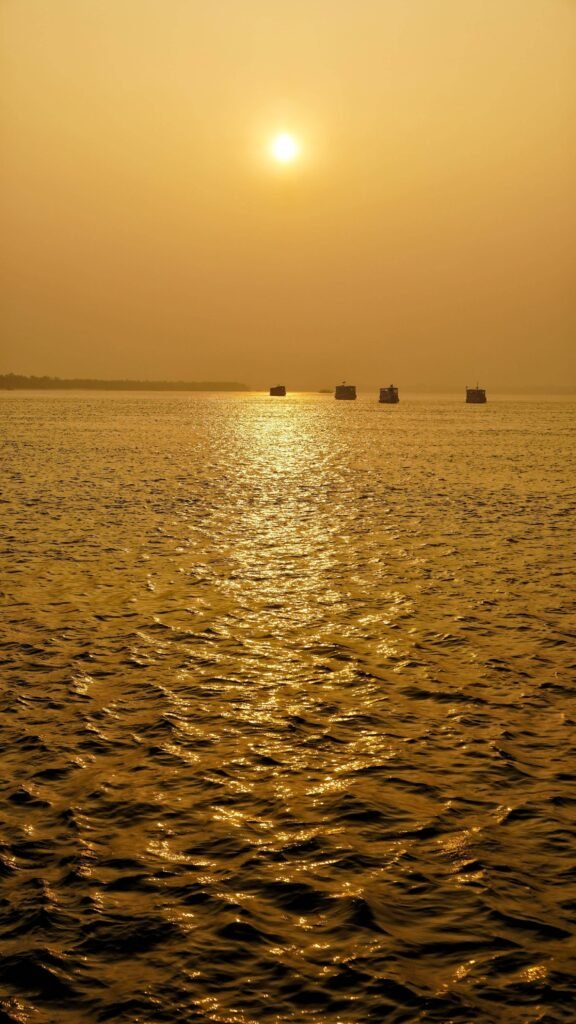 Sundarban